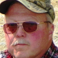 Rodney Pine