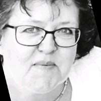 Stien Draaijer