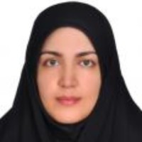 Seyedeh Mina Saeedi Heydari