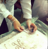 Majd Bin Omirah