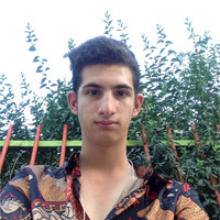 Farzad Karimi