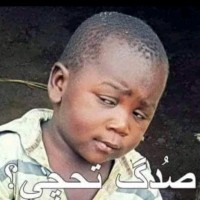 Good morning Good morning