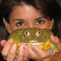 Julie Scardina
