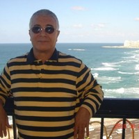 Mohamed A. Salam