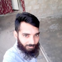 Zafi Tanoli