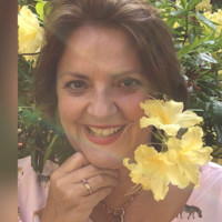 Karin Van Der Schot