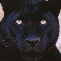 Андрей Малик