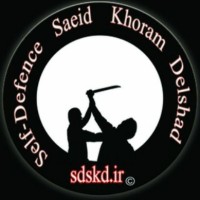 Saeid Khoramdelshad