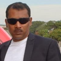 Petersen Singarum