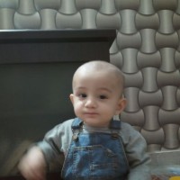 Umm E Habiba