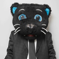 Sir Purr