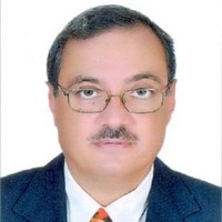 khaled Elkholy
