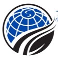STALWART PROJECT MANAGEMENT SERVICES