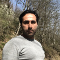 Saeed Habibi