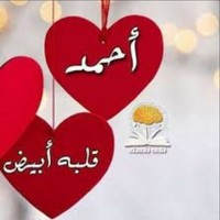 ahmad falaha