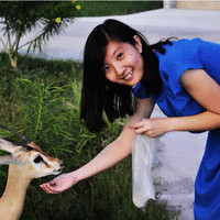 Yunfei Zhai