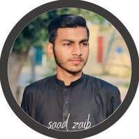 Saad zaib
