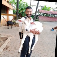 K Prathik Kamath