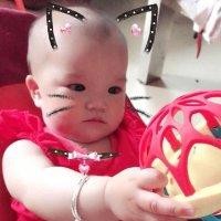 张芳杰