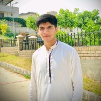 Hamid Shehzad