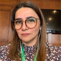 Nancy Araneda Castillo