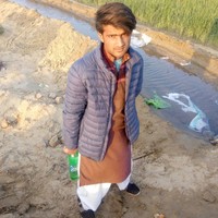 Majid Ali