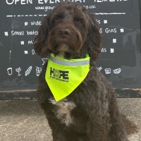 Barney Bear