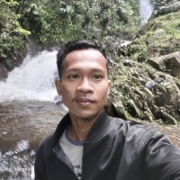 Aldi Frinaldi