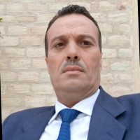 adel ayed