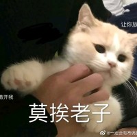 薛金良