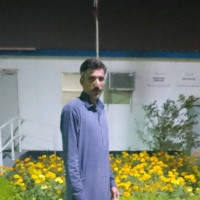 ali alighoar