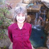 Anne Messner, Cpa