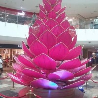 Akash Puli
