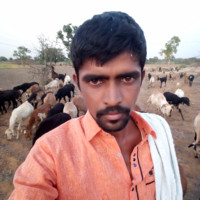 bulle Srinivas