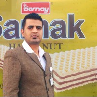 malik sadiq