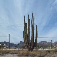 Baldomero Valenzuela Segura