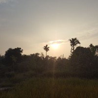 Toại Đỗ