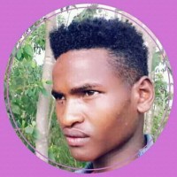 Temesgen Mesele
