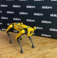 Spot Slalom