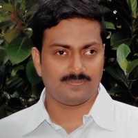 Nageshwara N