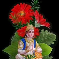 Shiv Goswami