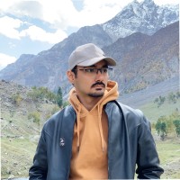 Hussain Alam