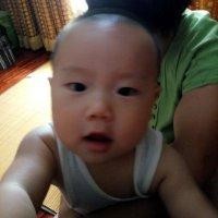 陈哲轩
