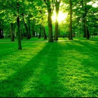Natural World