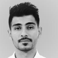 Saif S. Dawood