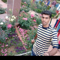 Sudhakar K Kumar