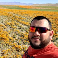 Roberto Amaya