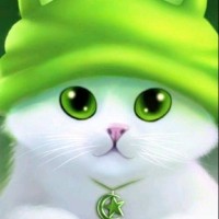 Ali Ali