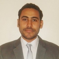 Elsayed Afifi