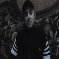 محمد ربيع